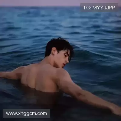 沈廷衡